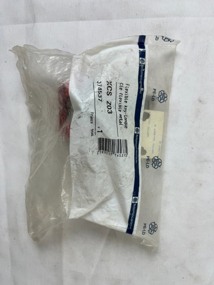 Telemecanique XCSZ03 Flexible Key Tongue Safety Switch Actuator Key New Spare