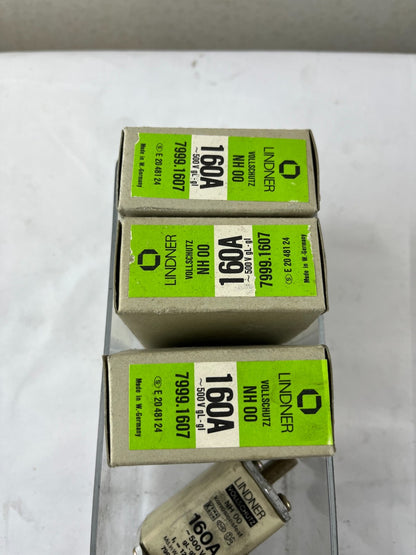 Lindner Vollschutz NH00 Fuse 160A 500V 7999.1607 Corrosion Resistant Lot of 5x