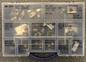 Mixed Lot of MOSFET Transistors & Power Semiconductors - IRF Series, Assorted